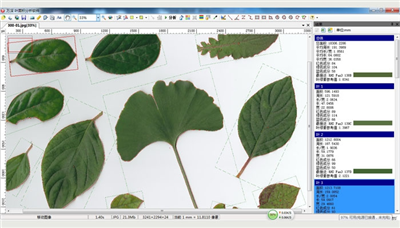 植物图像分析仪