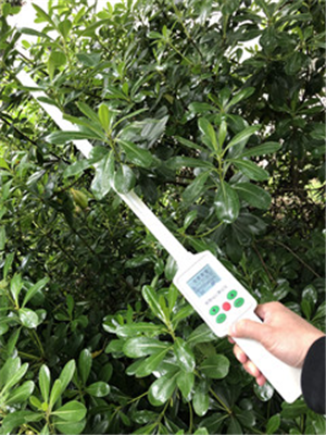TOP-1000植物冠层分析仪