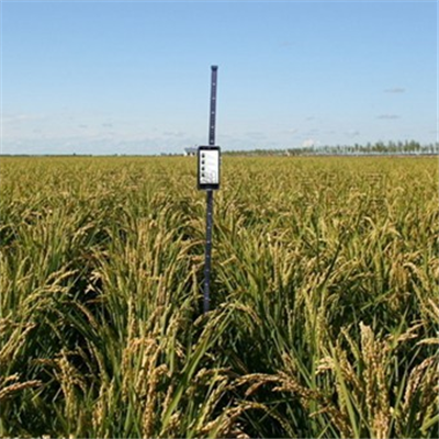作物株高测量仪LBDM-G-1